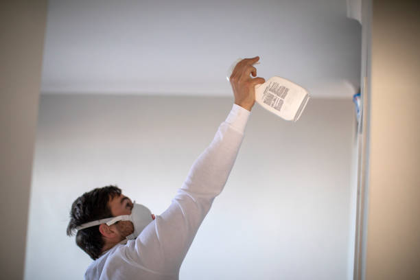 Best Fast Mold Removal  in St Leon, IN