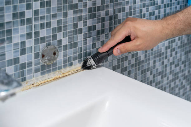 Best Mold Remediation Experts  in St Leon, IN